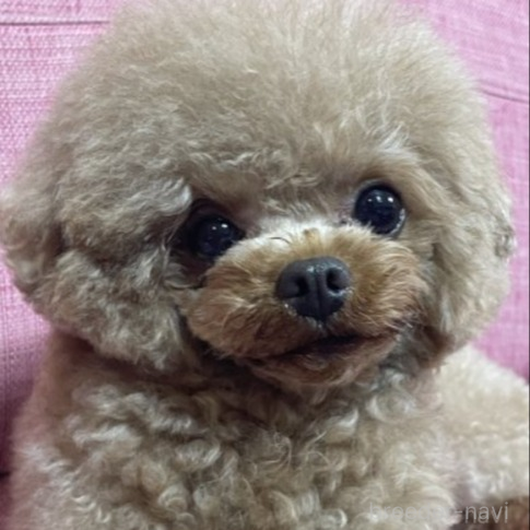 なごむくん1枚目